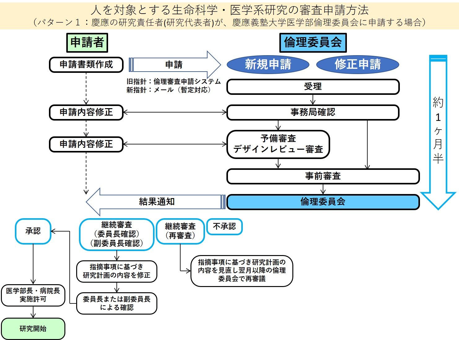 審査の流れ